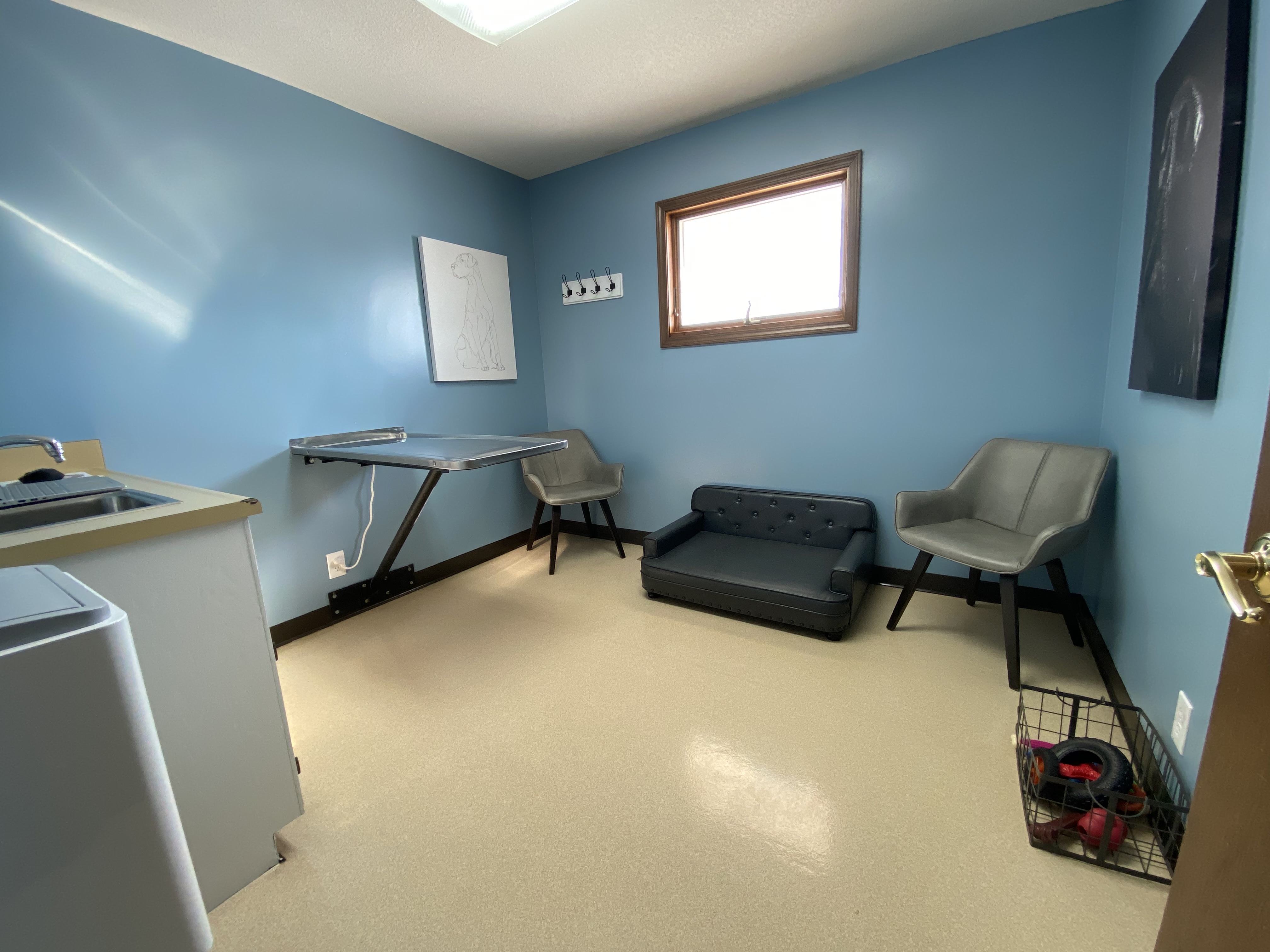 Dog exam room