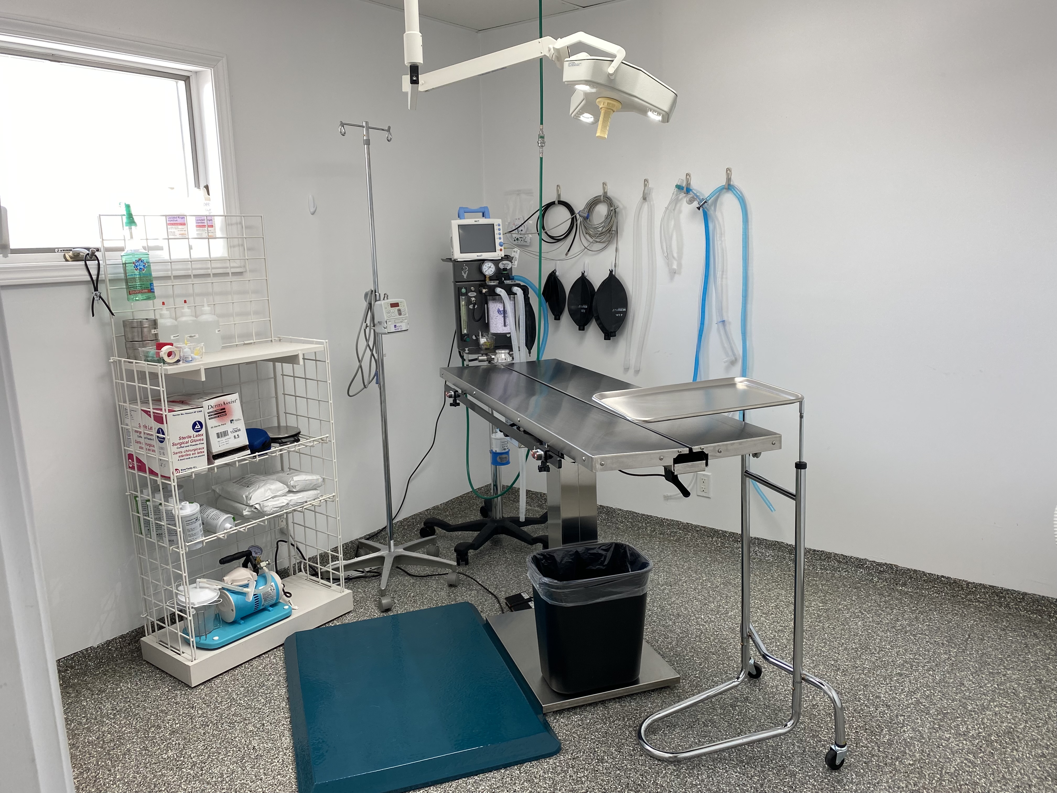 Beechwood Veterinary Clinic surgical suite
